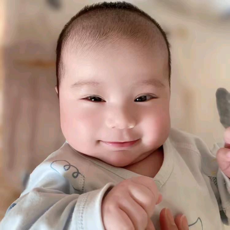 兔宝儿三三🐰