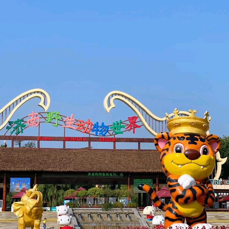 到处去看看