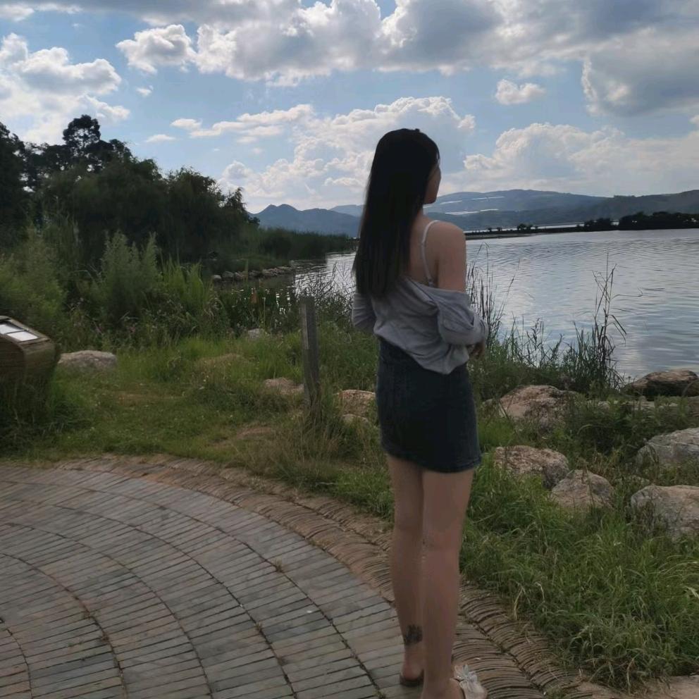 飞猪🐷