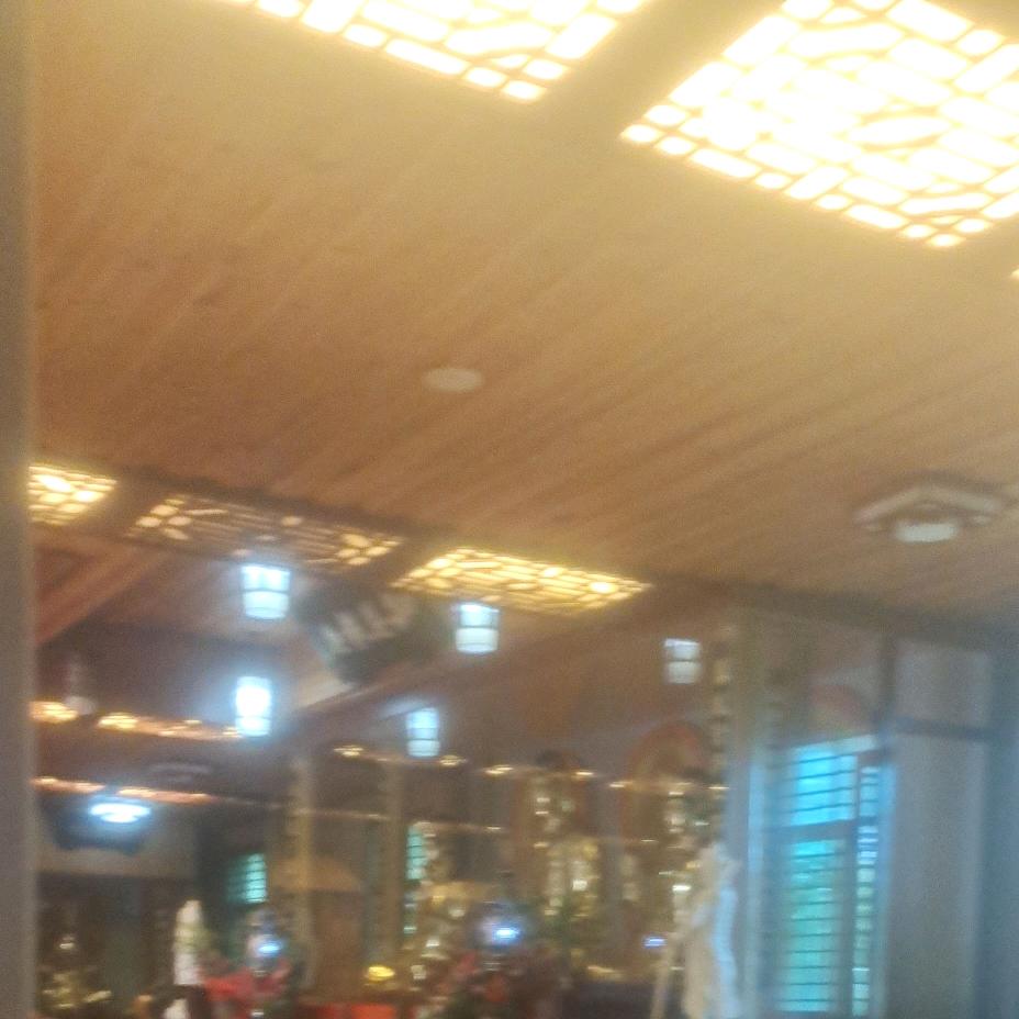 老/林