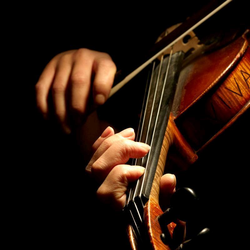 提琴圈🎻