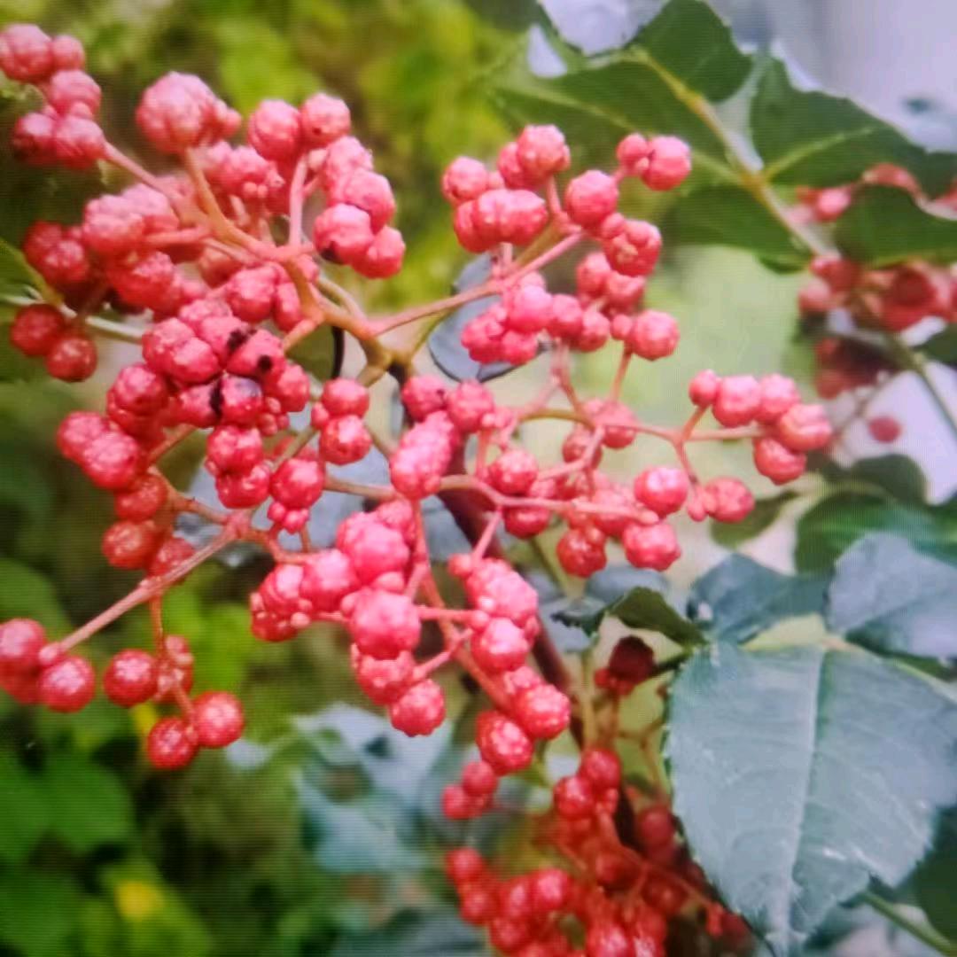 顺风顺水
