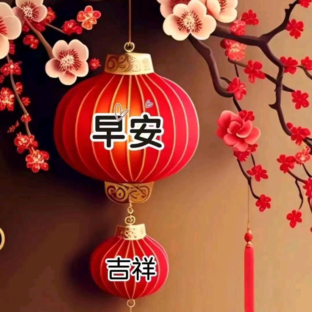 盗用身份信息磕碜