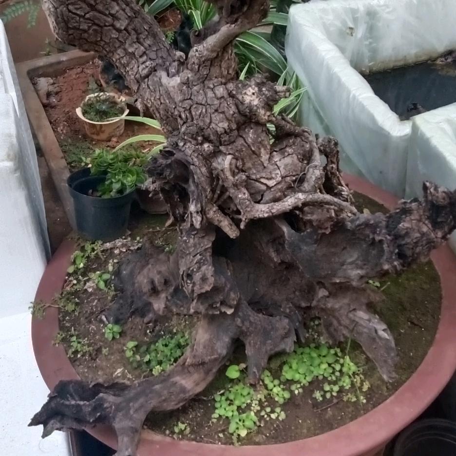 有你在梦中。