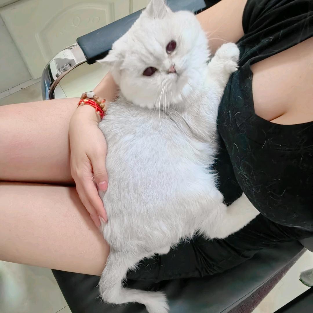 祖花