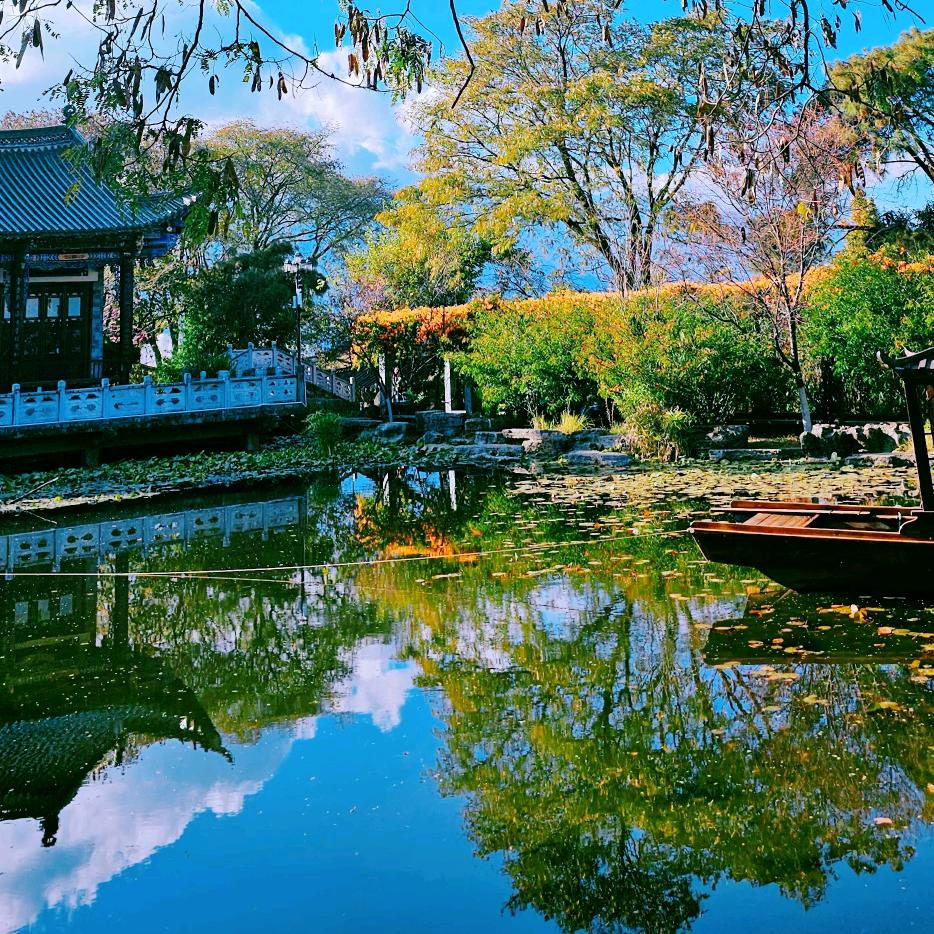心动行动