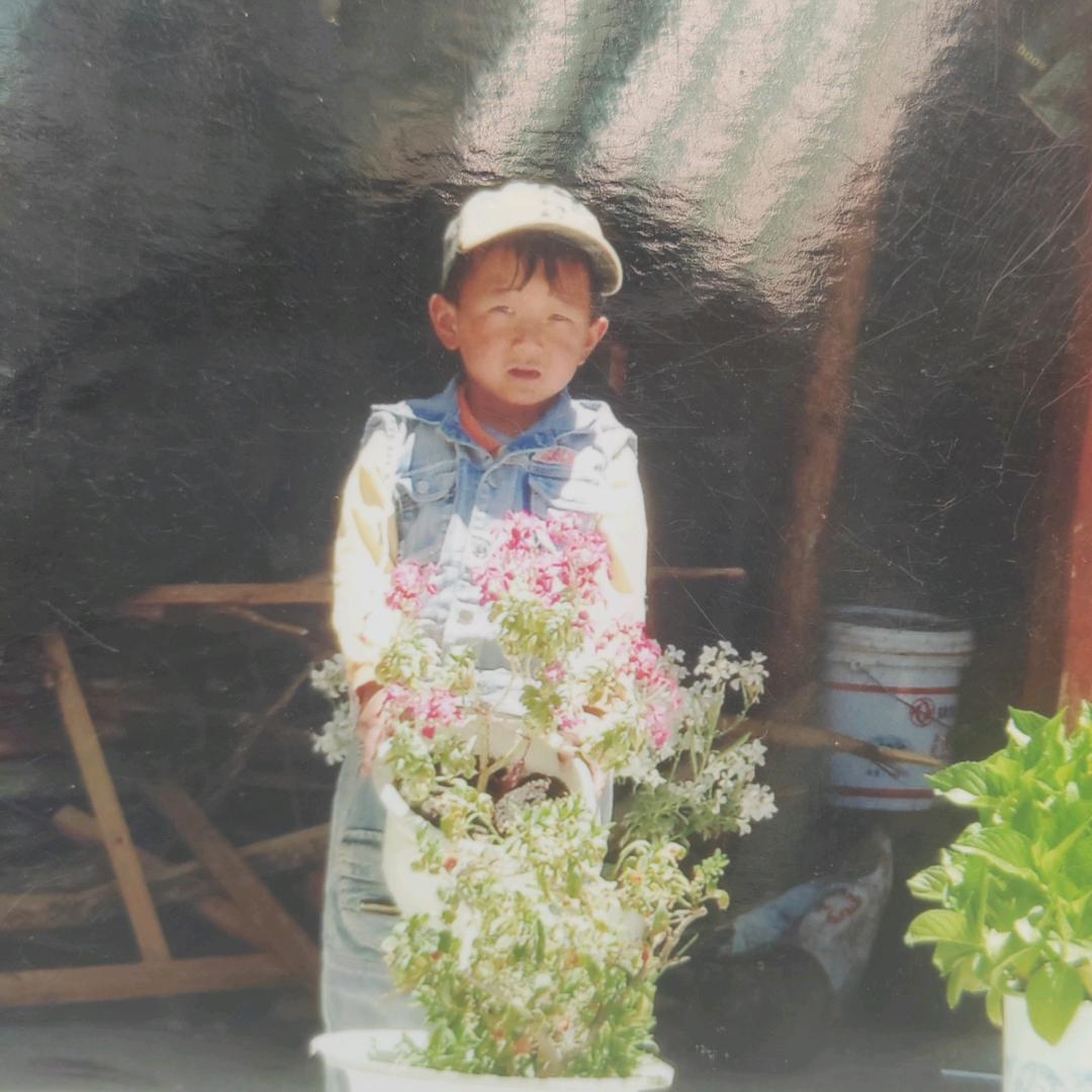 格桑花的微笑