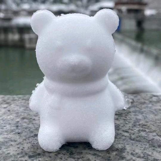 老杨