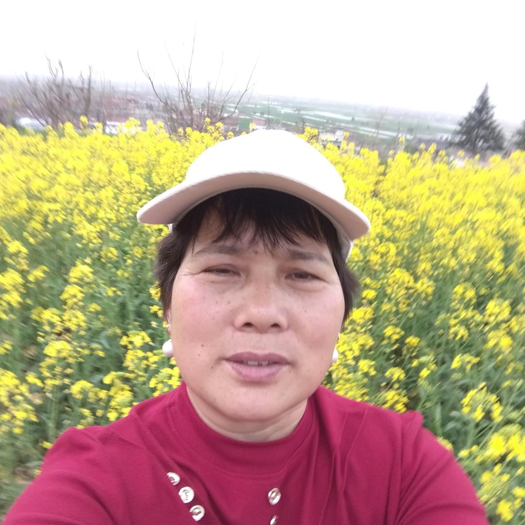 月光之下
