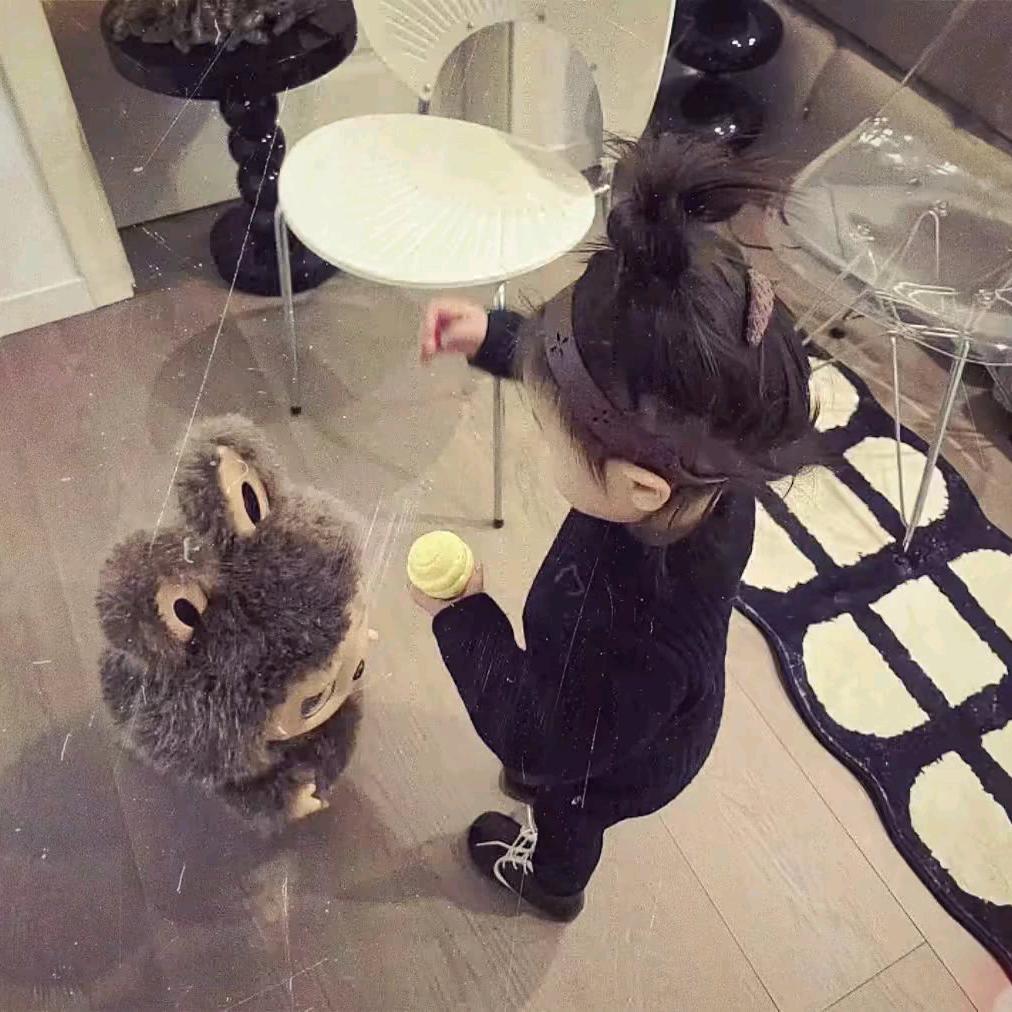 梧 桐、