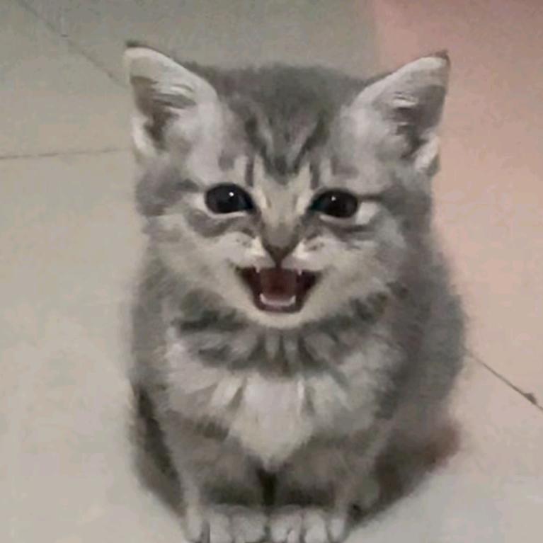 小袶