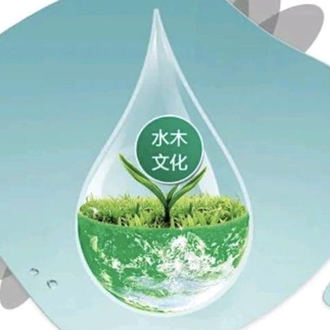 涅槃重生