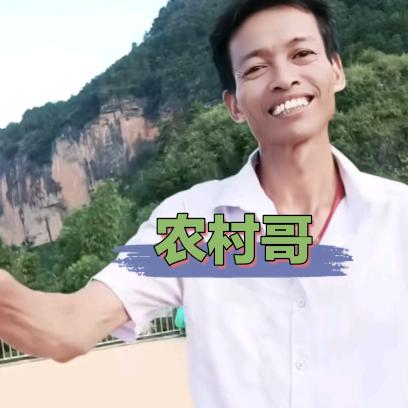 农村哥改编音乐