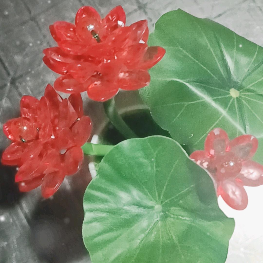 🙇‍♂️忘后要努力拼搏💃