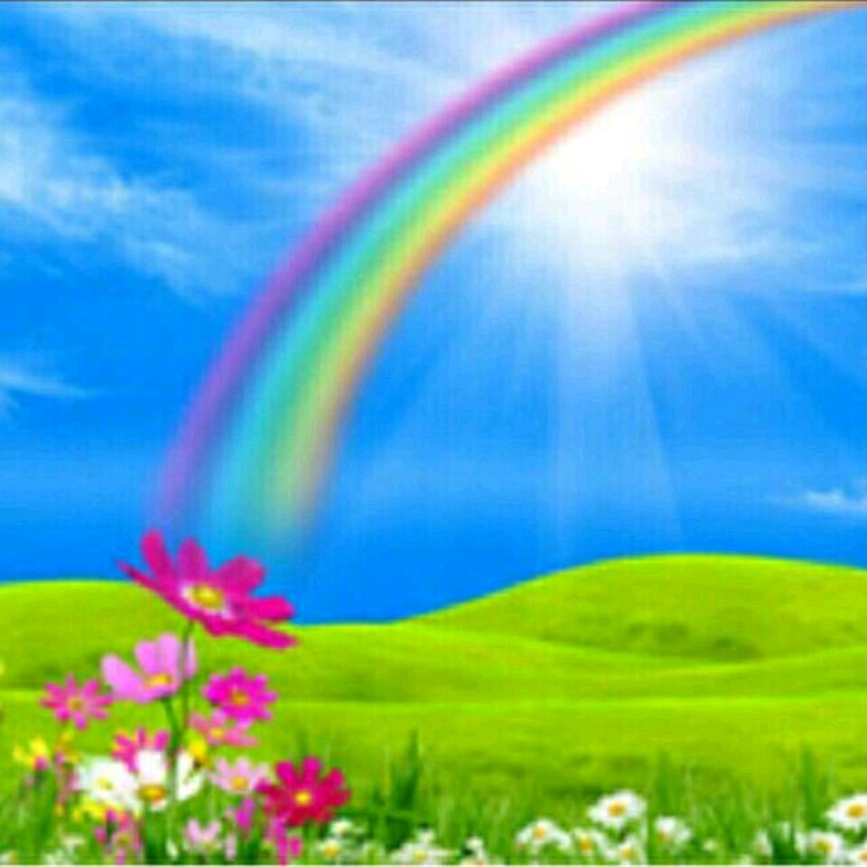 彩虹🌈