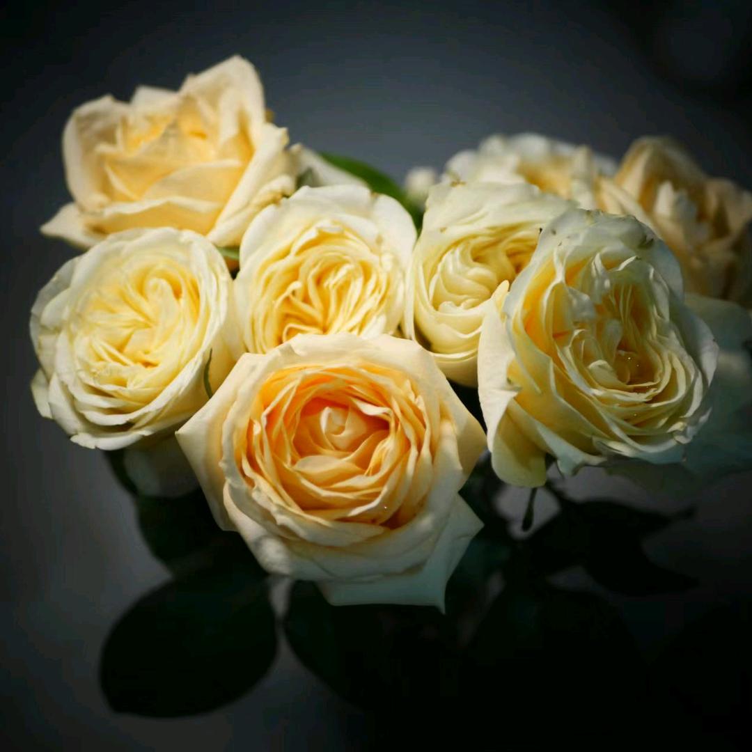 泡芙巨好吃🥰