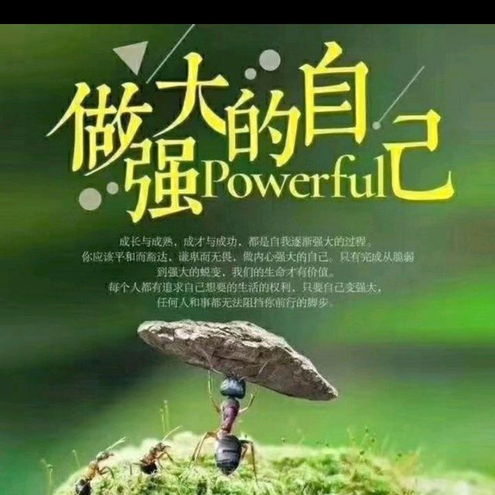 一帘幽梦314755