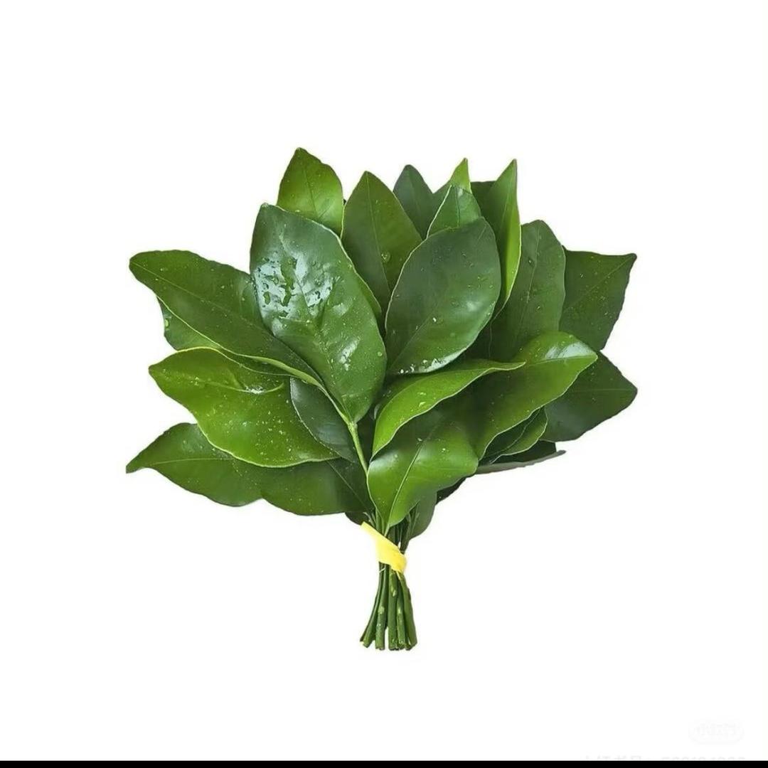 喜欢单眼皮
