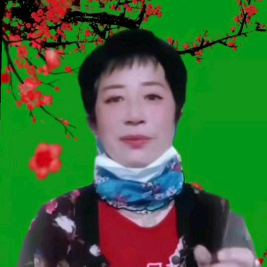 大凤姐