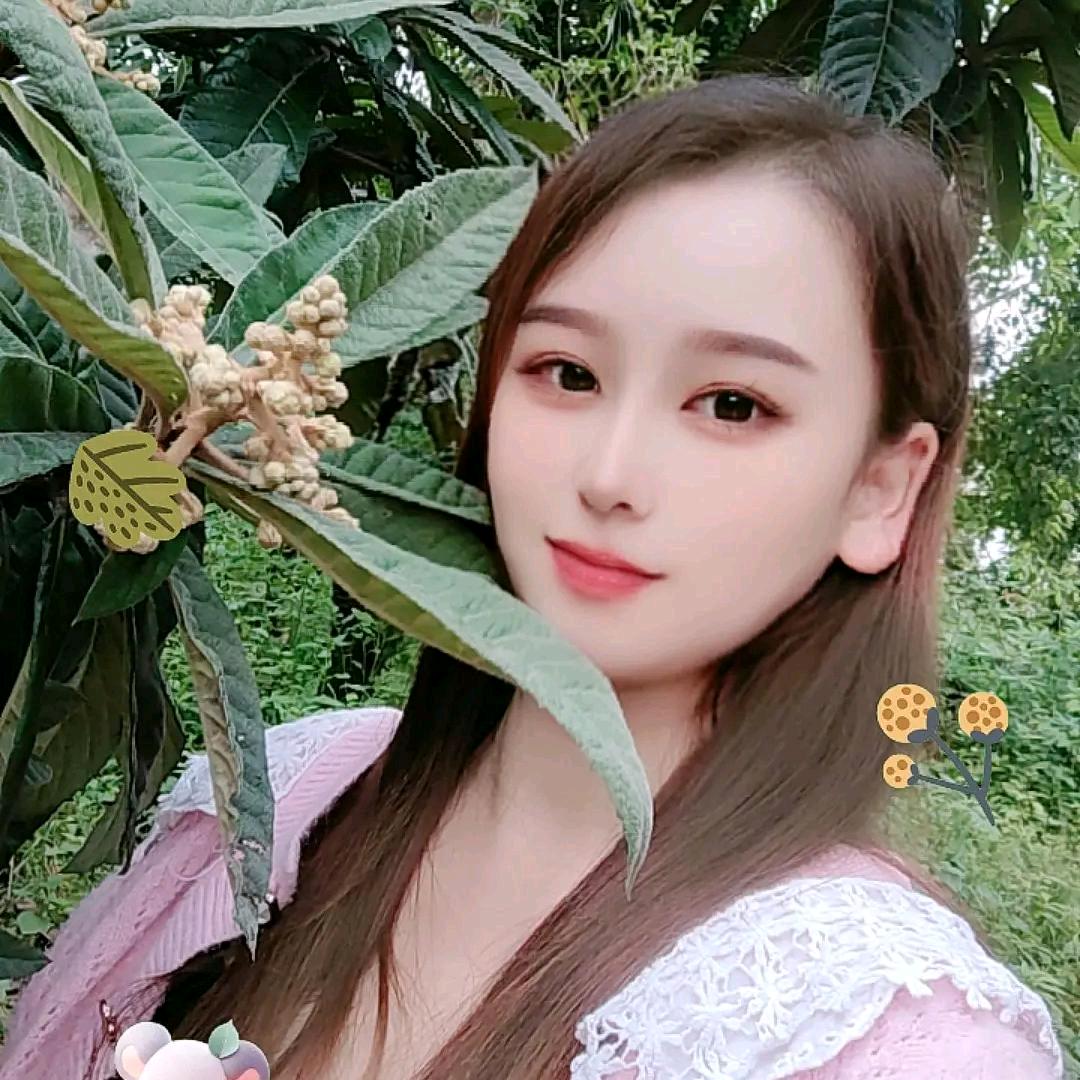 燕子💋💋💋