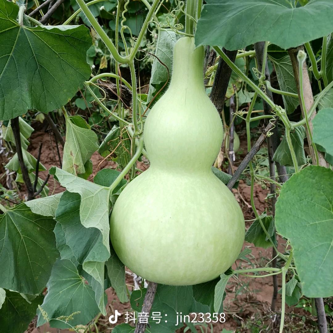 杨剑群聊申请