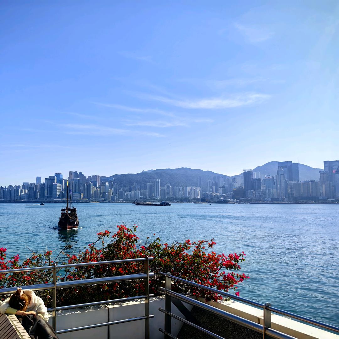 美国海运专线一手庄 吖立