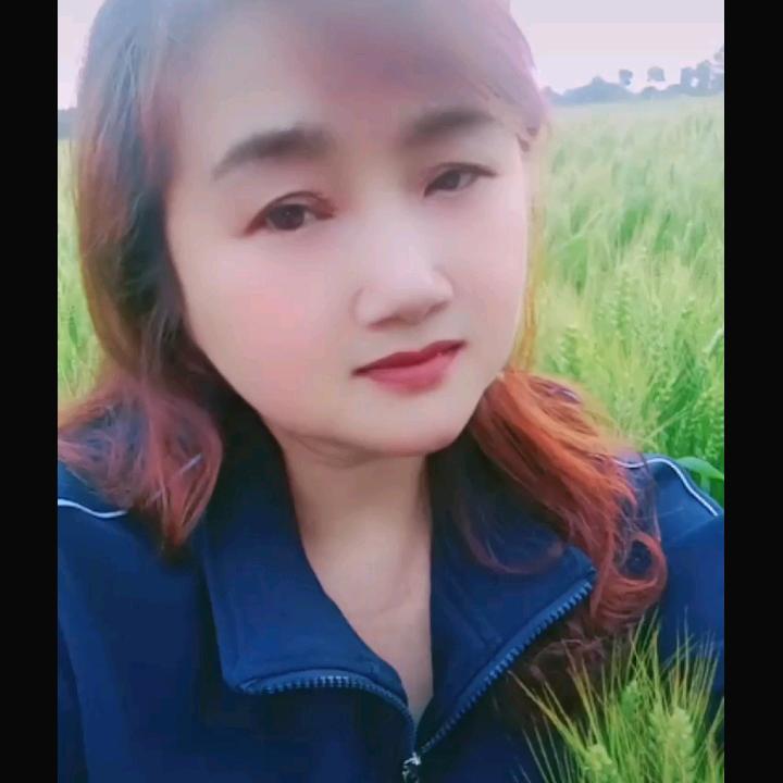 红梅布鞋