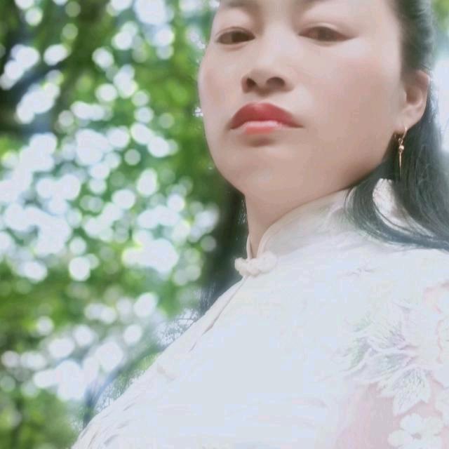 小草坝天麻