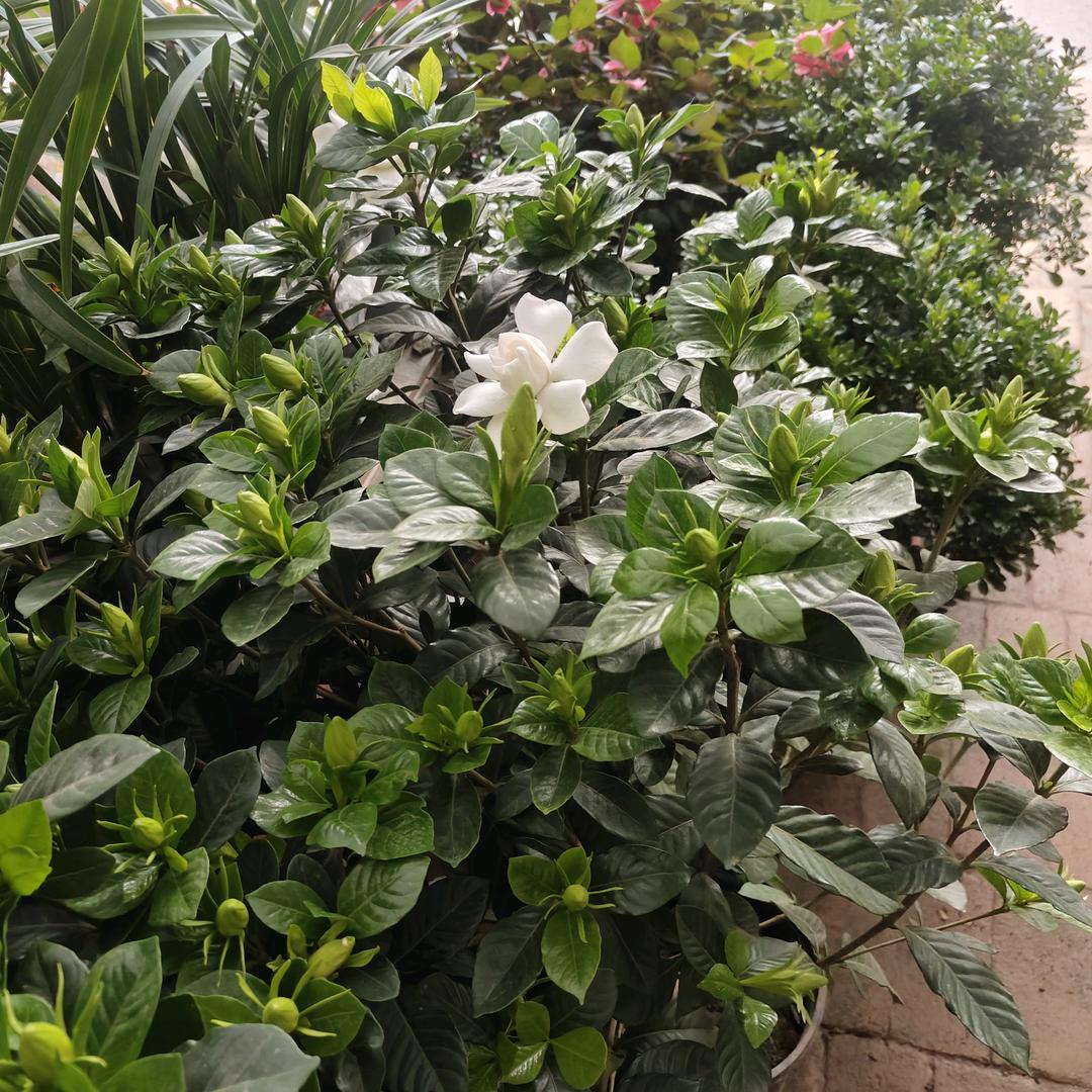 90后的我开心就行，