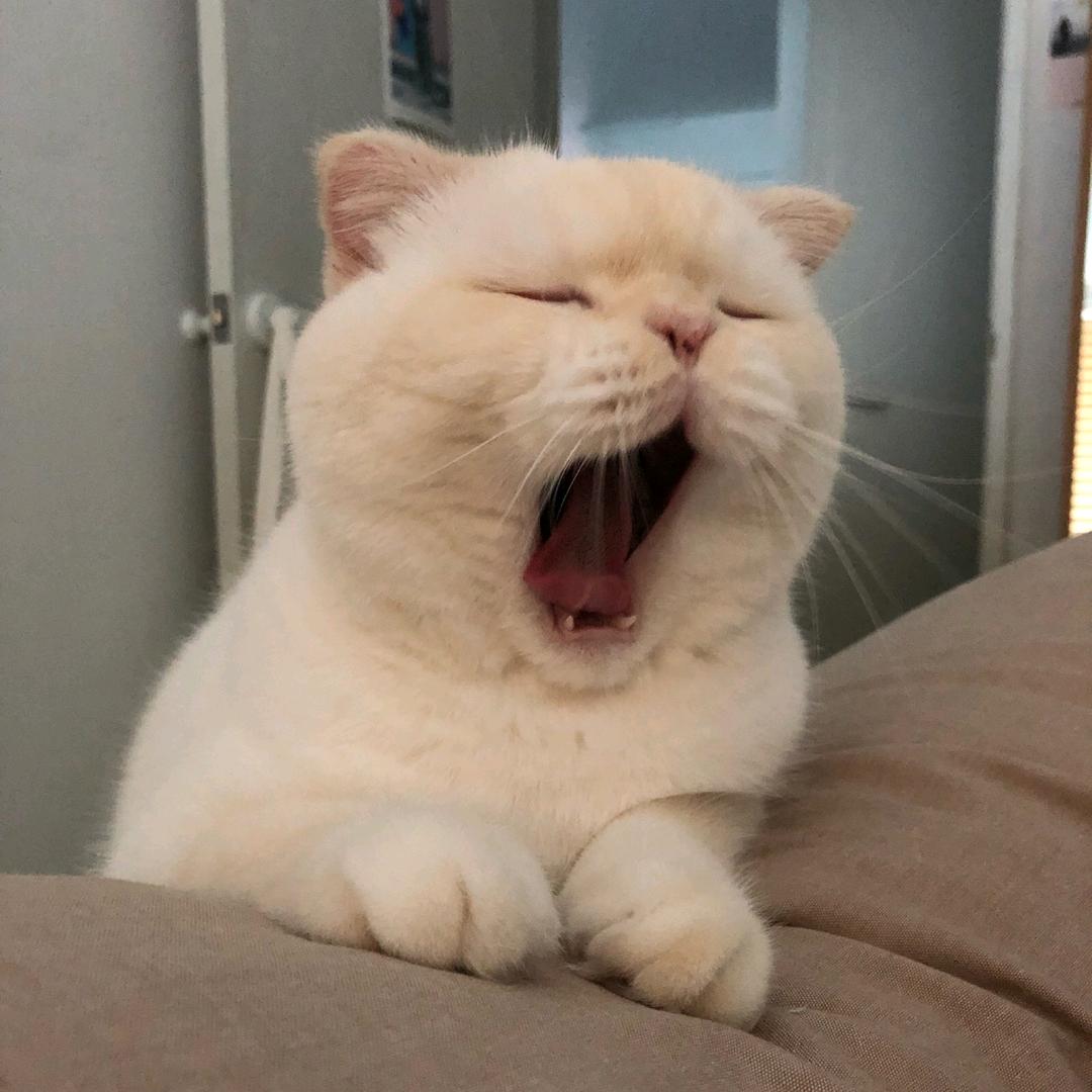 漫游者