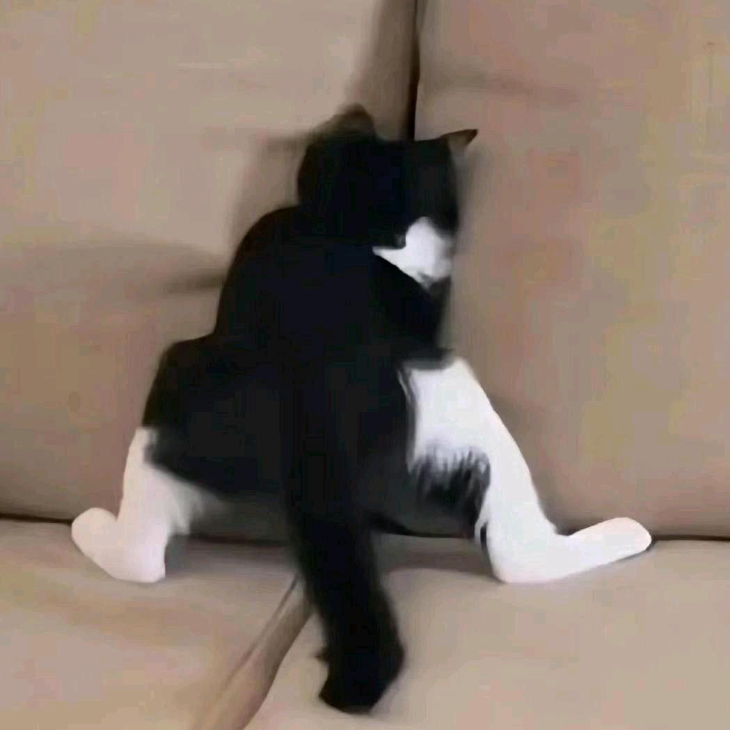阿𝑍