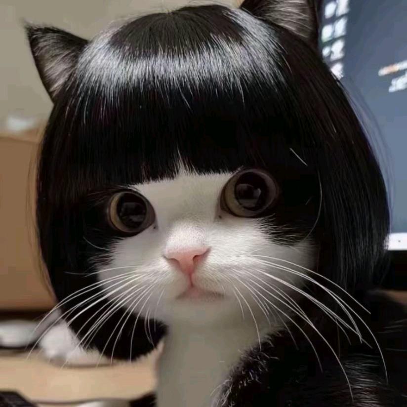汤米