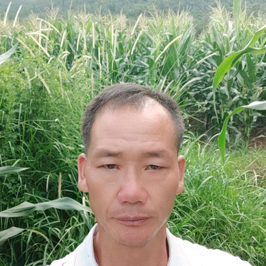 看淡一切昆哥哥