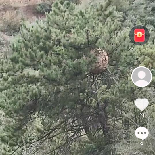 专业的事交给专业的人￥收马峰人头峰招团队