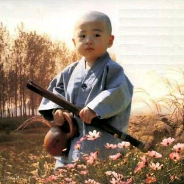 极速版～小凡