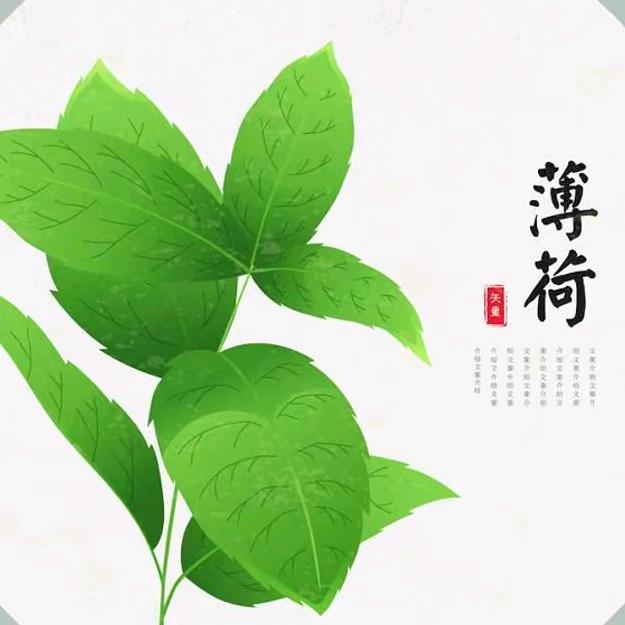 湖北薄荷供应链管理有限公司