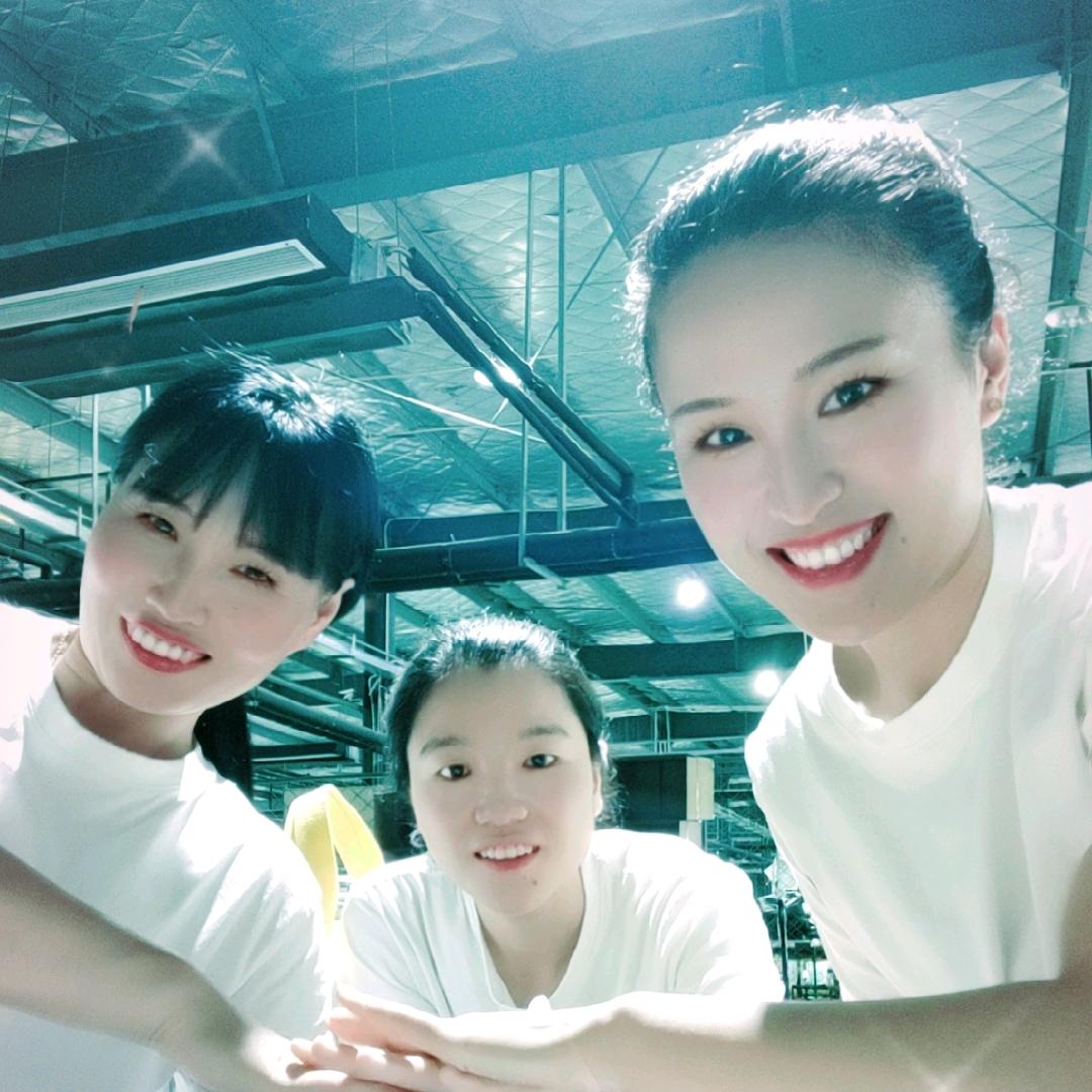 燕子飞飞
