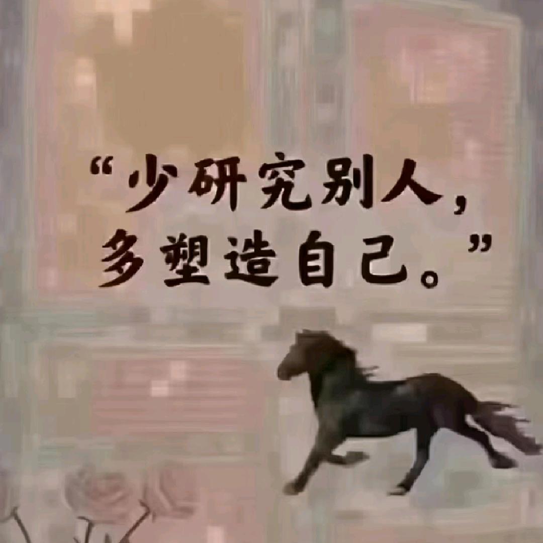 猪坚强