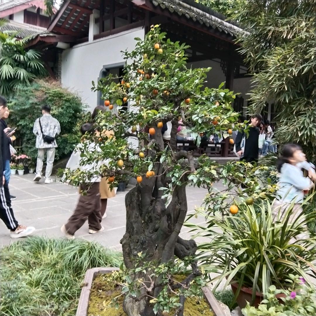 @容