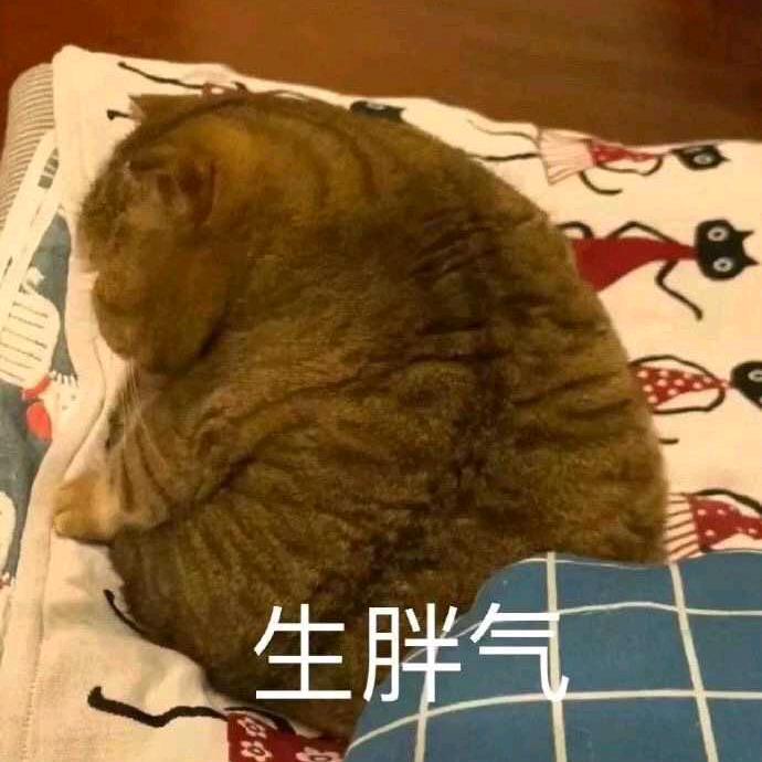 墨晗