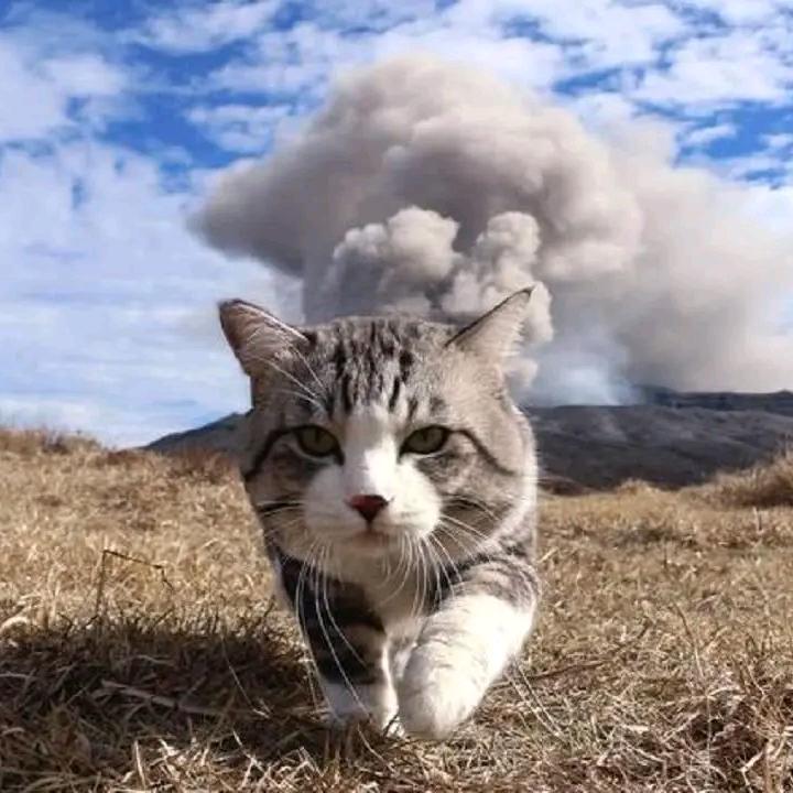微一笑