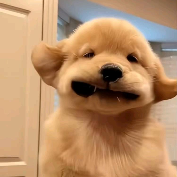 博林三娃。