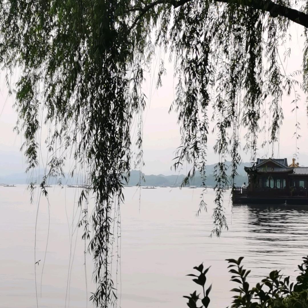 悠闲一族