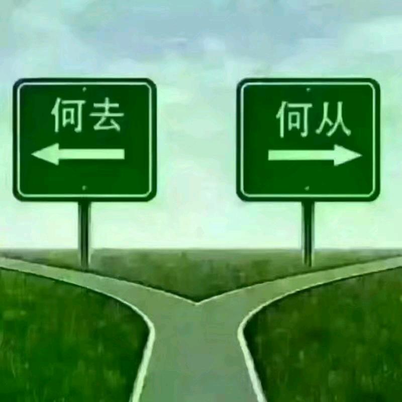 《云南》&李飞&