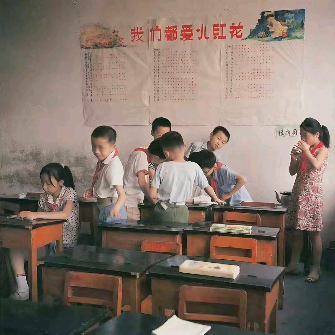 怀旧伟鸽