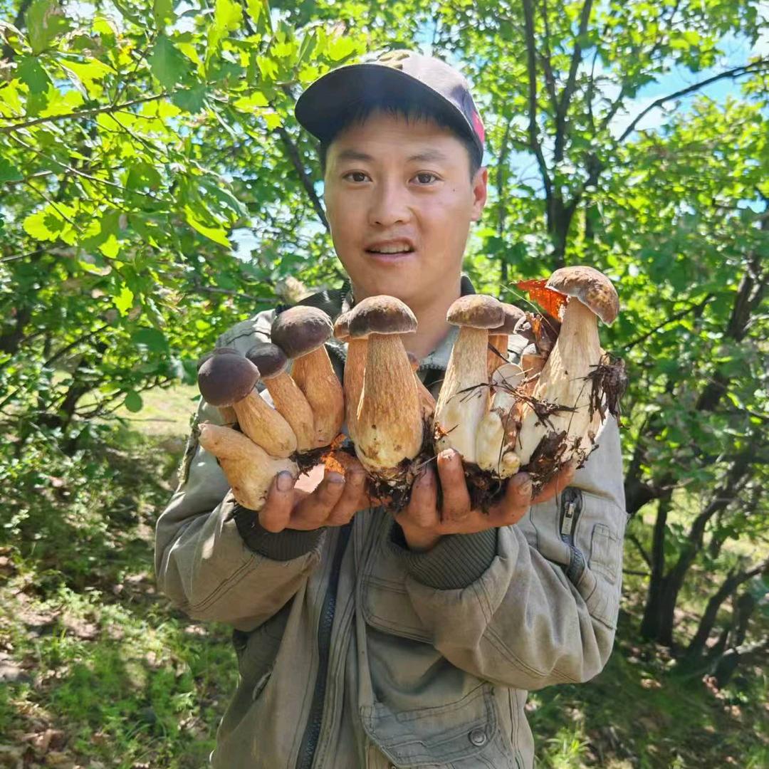 农村人小新