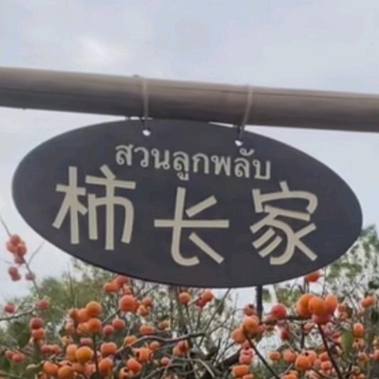 南宁柿长《长期招富婆》