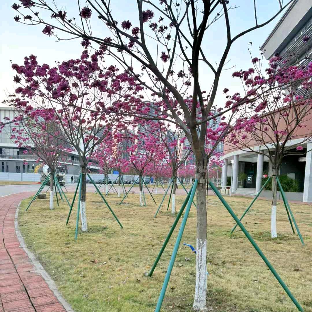 福气宝宝