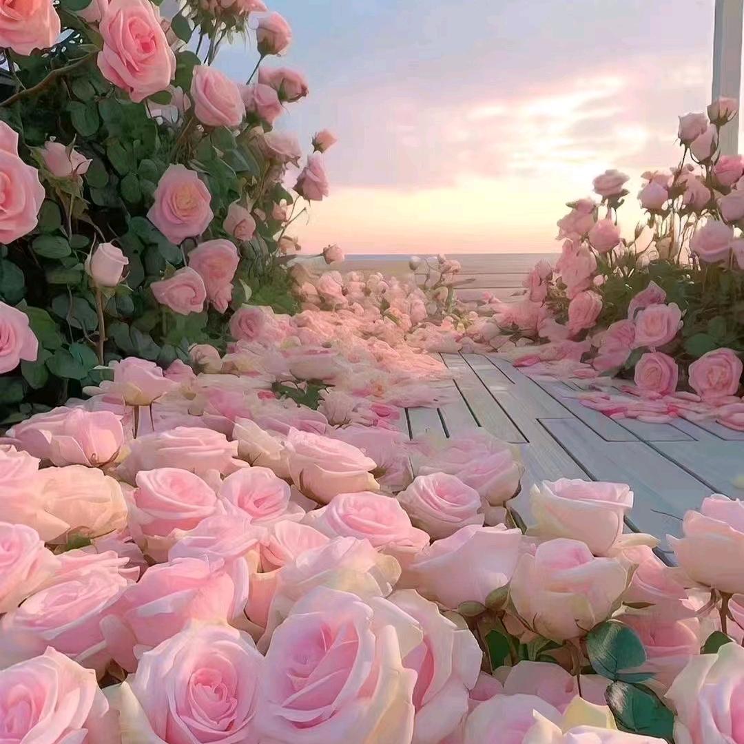 🌹阿红💐