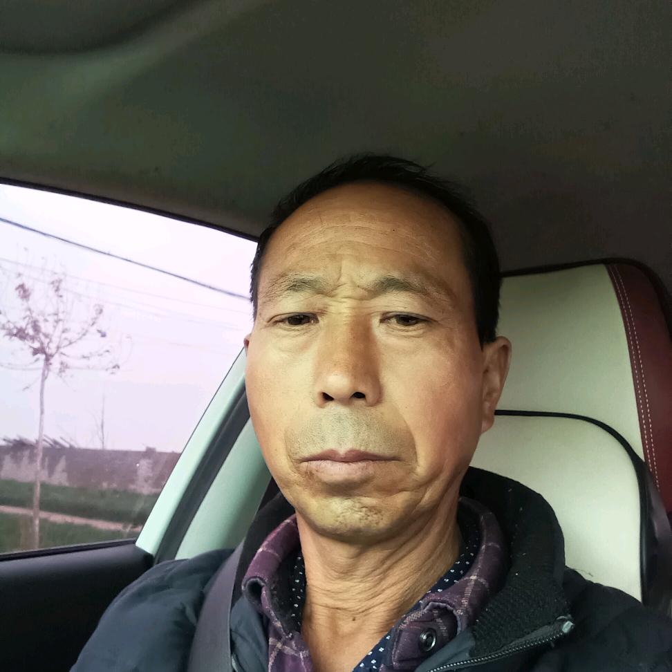 云龙